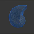 Spiral Stone Sculpture With Natural Fossil Like Texture On Dark Reflective Background