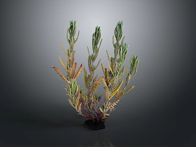 Lush Plant With Green Yellow Leaves And Purple Stems On Black Base 3d model