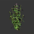 Plants of Different Sizes With Green Leaves and Purple Small Flowers on Dark Background