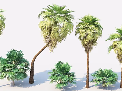 Palm Trees In Various Sizes With Green Fronds And Brown Trunks 3d model