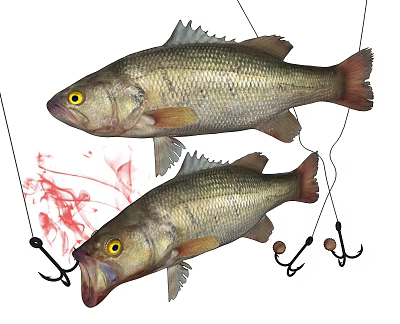 Two Freshwater Bass Fish Hanging With Fishhooks And Red Fishing Bait 3d model
