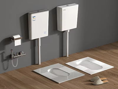Two White Squat Toilets With Wall Mounted Water Tanks Toilet Paper Holder And Wooden Floor 3d model