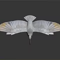 Large Pelican Standing with Spread Wings on Clean White Background