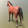 Brown Horse With Black Mane Tail And White Hooves Standing On Green Background