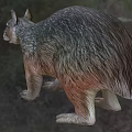 Brown Scaled Reptile With Claws And Erect Ears In Natural Environment