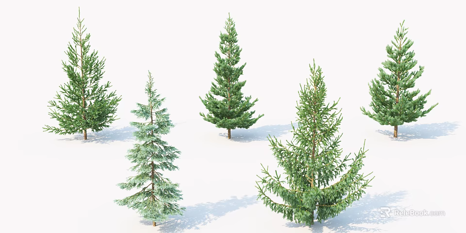 Green Evergreen Trees on Snowy Ground with Various Sizes and Natural Appearance 3d model 