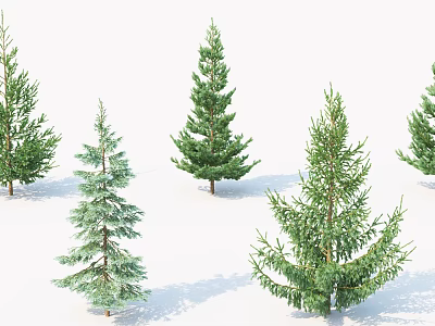 Green Evergreen Trees on Snowy Ground with Various Sizes and Natural Appearance 3d model