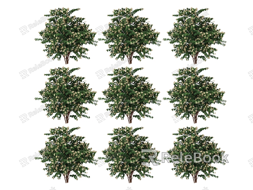 plant tree model