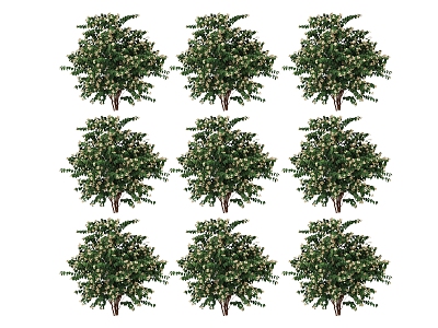 plant tree model