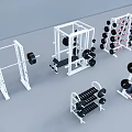 Essential Sports Equipment For Home Gym Featuring Squat Rack Barbells Dumbbell Rack And Bench Press