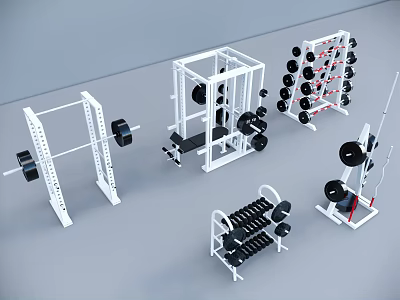 Essential Sports Equipment For Home Gym Featuring Squat Rack Barbells Dumbbell Rack And Bench Press 3d model