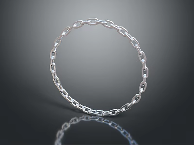 Silver Chain Bracelet Shiny Metallic Fashion Accessory For Women Daily Wear 3d model