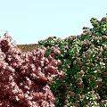 Green Wall Decorated With Red Shrubs Green Plants Stones And Wood Logs