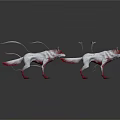 Two red foxes with white flowing fur standing on white background 3d model