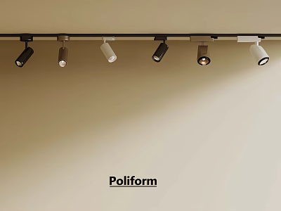 Poliform Track Lights Installation On Ceiling With Modern Lighting Design 3d model