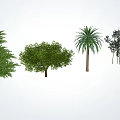 Modern tree modeling tree 3d model