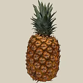 Fresh Ripe Pineapple With Green Leafy Crown And Golden Brown Textured Skin