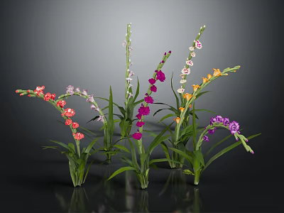 Colorful Decorative Flowering Plants With Green Leaves And Bright Multicolored Blooms 3d model