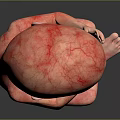 Red Fetus Model Curled Up with Hands Near Face on Black Background