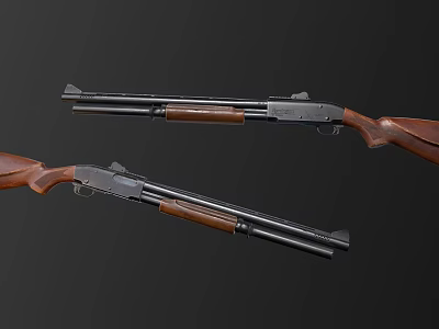Two Classic Shotguns With Wooden Stocks And Black Barrels On Dark Background 3d model