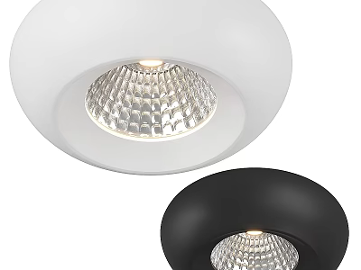 Stylish Recessed Downlights Spotlights In White And Black For Modern Home Lighting 3d model