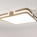 Modern Simple Ceiling Lights With Square Round Shapes And Wooden Gold Frames 3d model