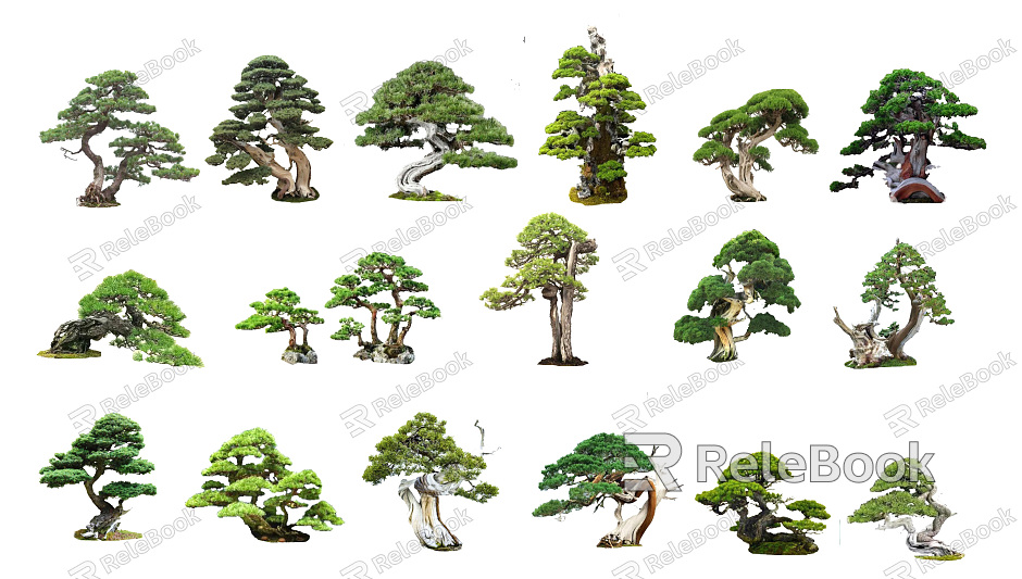 New Chinese Style Pine, Pohan Pine, Pohan Pine Combination Plant Zen Tree model