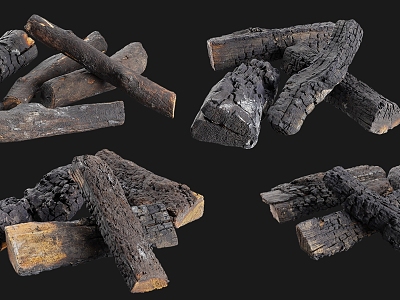 The firewood has been burnt 3d model