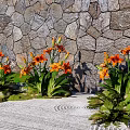 Serene Garden Landscape With Stone Wall Orange Flowers Small Fountain Mossy Ground And Sand Path