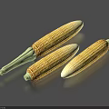 Three Fresh Yellow White Corn Cobs with Green Husks on Gray Surface
