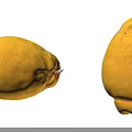 Fresh Ripe Yellow Fruits With Smooth Skin And Natural Shape