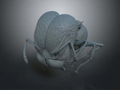 3D Rendered Beetle Insect Model Featuring Detailed Textured Surface Legs And Antennae 3d model