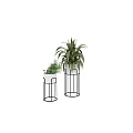 Potted Plants with White Pots on Black Metal Stands Small and Large Green Leafy