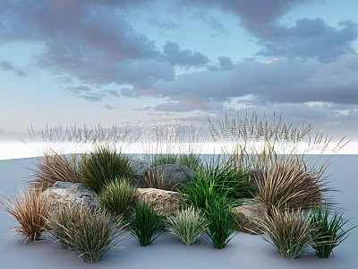 Various Ornamental Grasses With Different Heights And Colors Surrounded By Rocks Under Cloudy Sky 3d model