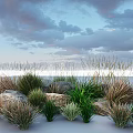 Various Ornamental Grasses With Different Heights And Colors Surrounded By Rocks Under Cloudy Sky