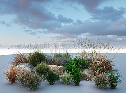 Flowers and plants Pennisetum Reed Pink Dai disordered flowers and plants landscape weeds 3d model