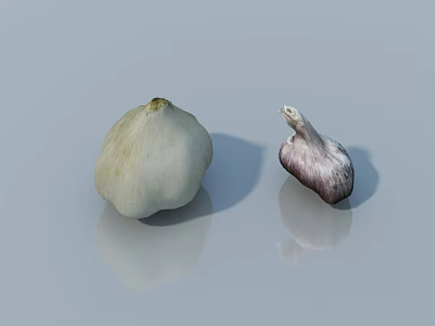 Fresh White Garlic Bulb and Purple Garlic Clove on Reflective Light Blue Surface 3d model