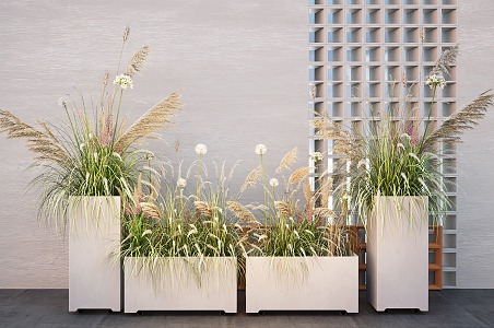 Reed Plant Combination Flower Box Potted Plant Pile Setaria 3d model