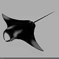 Black and White Manta Ray With Elegant Body Shape And Long Tail