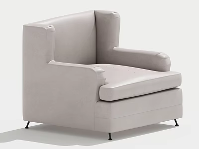 Modern Single Sofa Single Leisure Chair 3d model