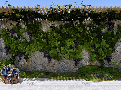 Stone Scenic Wall Decorated With Green Vines Purple Grapes And Wooden Pergola 3d model
