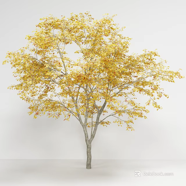 Deciduous Tree With Golden Yellow Leaves And Gray Trunk On White Background 3d model 