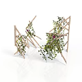 Decorative Climbing Plants on Wooden Trellis with Green Vines and Purple Flowers