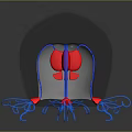 Jellyfish With Transparent Spherical Body Blue Tentacles And Red Tips On Dark Background