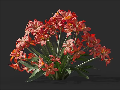Beautiful Vibrant Red Lilies With Fresh Green Leaves In Blooming Bunch 3d model