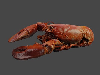 lobster seafood marine animal australian lobster 3d model