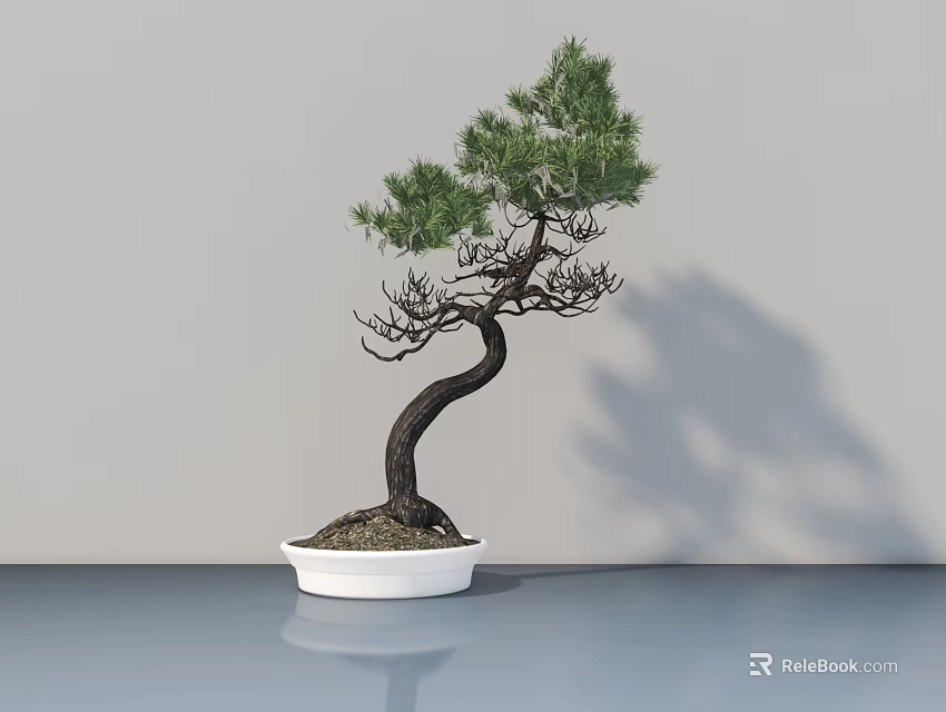 Bonsai Tree With Curved Trunk And Green Foliage In White Pot On Smooth Surface 3d model 