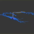 Neuron Brain Cell Structure With Dendrites Axon And Cell Body 3D Rendering 3d model