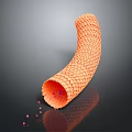 Microscopic View of Tubular Organ Tissue with Honeycomb Texture and Red Cellular Particles