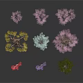 Colorful Decorative Plants With Unique Shapes In Pink Purple Blue Red And Green